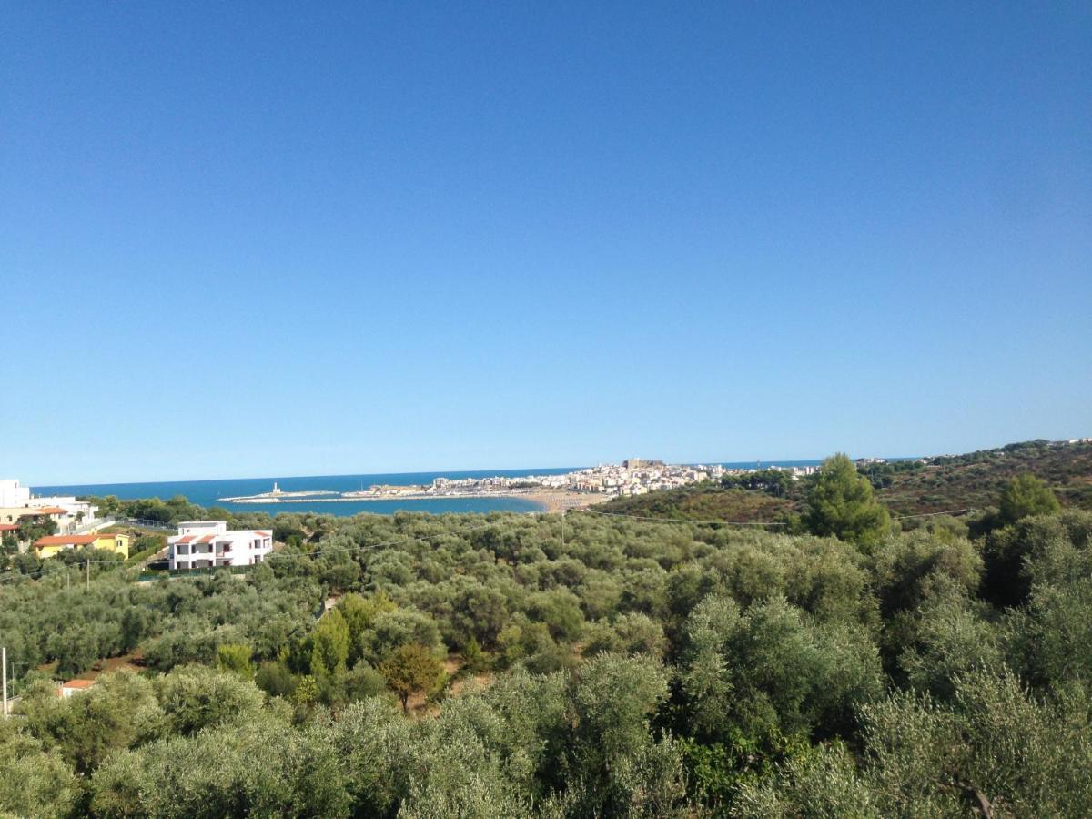 Vill'Aura Appartement Vieste Buitenkant foto